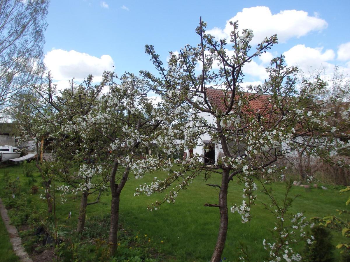 Krakowskie Mazury Gradzkie  Extérieur photo