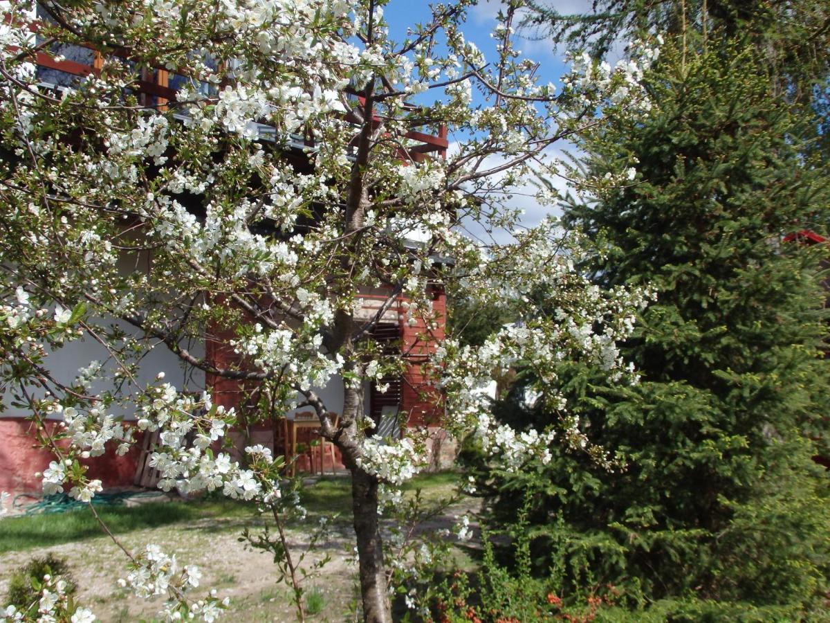 Krakowskie Mazury Gradzkie  Extérieur photo